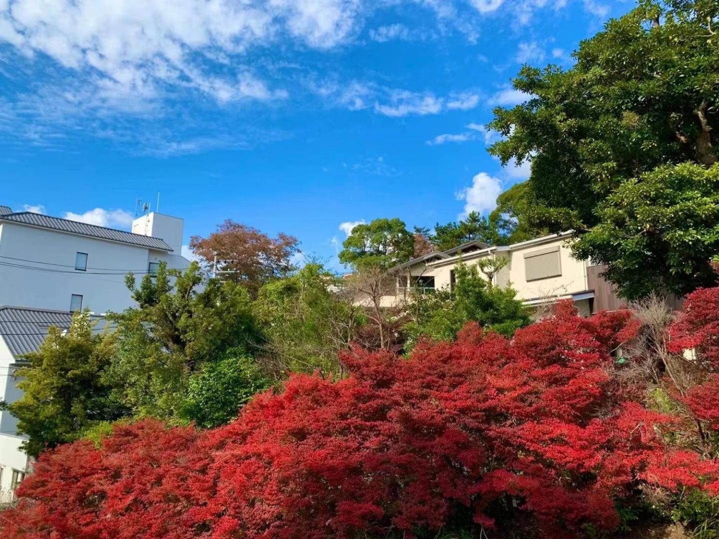 雅竹miyabitake Hotel Miyakami Екстериор снимка